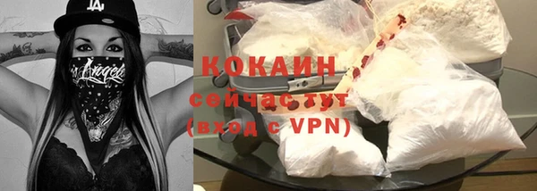 ALPHA PVP Каменка