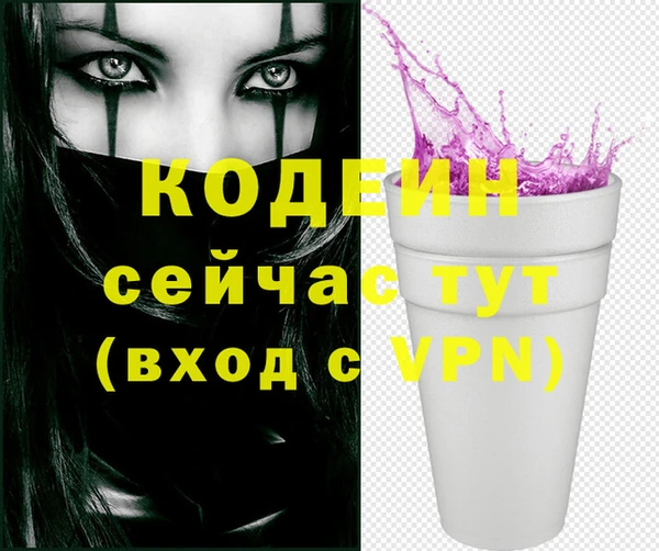 дживик Карпинск