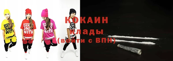 ALPHA PVP Каменка
