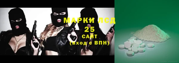 ALPHA PVP Каменка