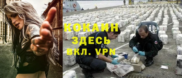 ALPHA PVP Каменка