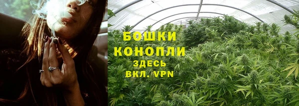 дживик Карпинск