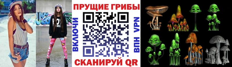 Галлюциногенные грибы Psilocybine cubensis  Купить закладки  Игра 